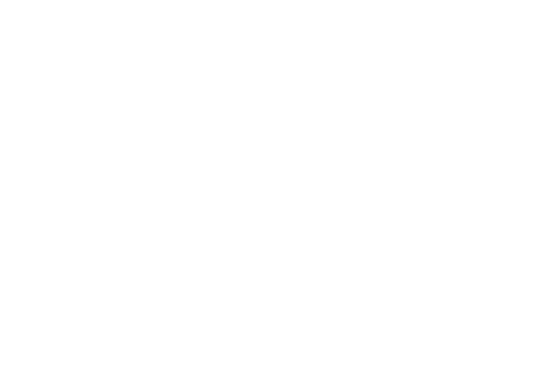 Logo de Terre D'ammare praticienne en massage amma à Saintes