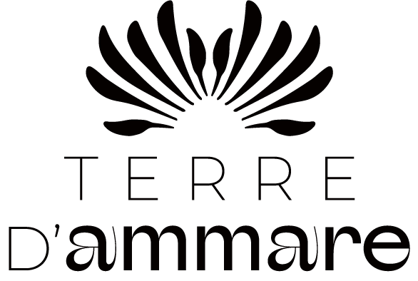 Logo de Terre d'Ammare, praticienne en massage Amma dans le Pays Royannais.