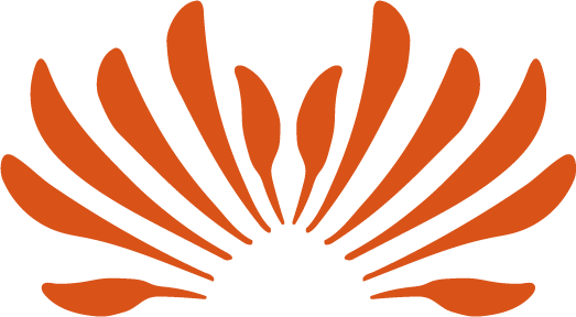 Logo Terre d'Ammare, massage Amma assis à domicile